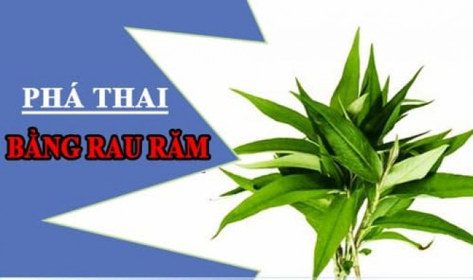 Cách phá thai bằng rau răm tại nhà