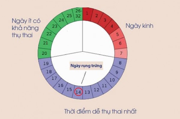 Cách tính chu kỳ kinh nguyệt để thụ thai và tránh thai 11/8/23