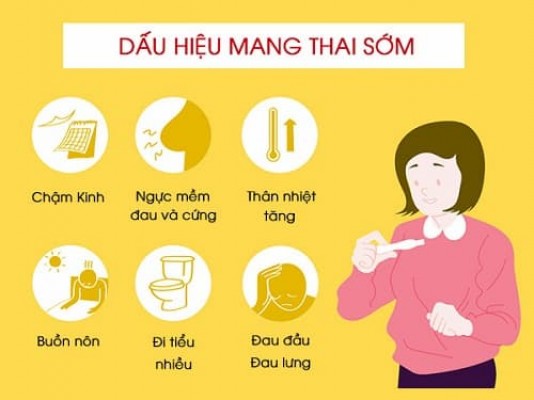 22 dấu hiệu mang thai (có thai) sớm và dễ nhận biết nhất 12/8/23