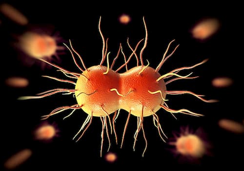 Bệnh lậu là gì?