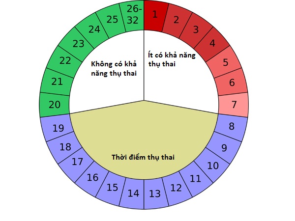 Cách tính chu kỳ kinh nguyệt để thụ thai