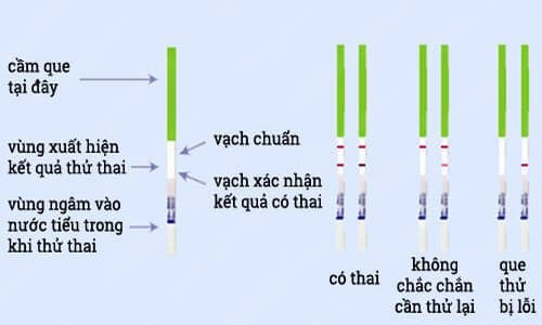 Cách đọc kết quả que thử thai